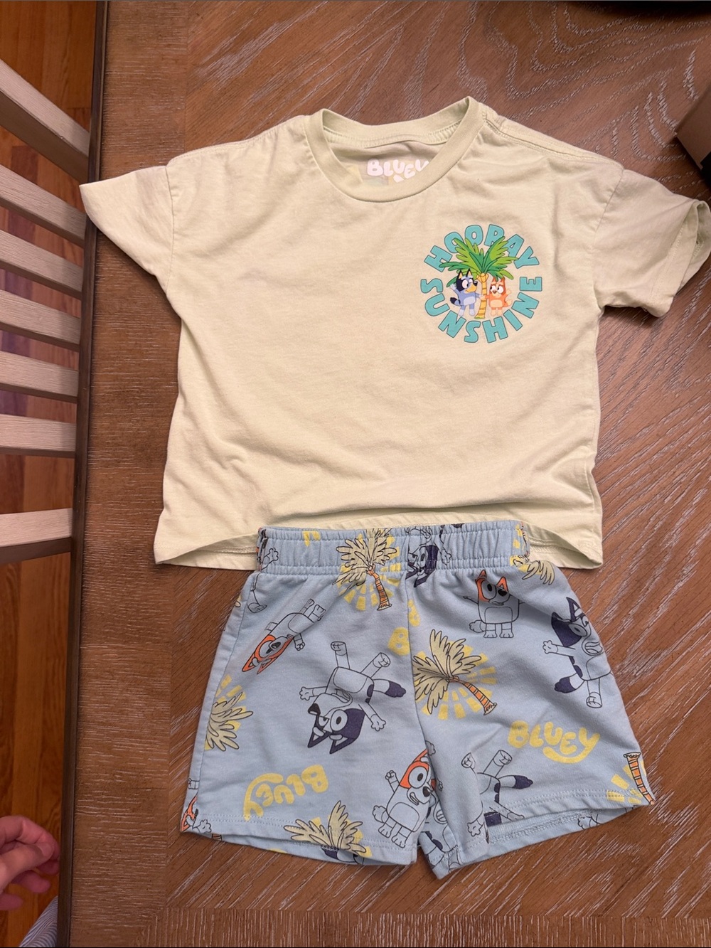Blossom Sunny Kids' Green Tee and Blue Character Print Shorts Set bluey